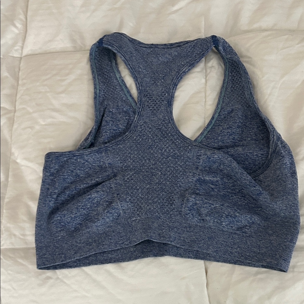 Danskin Now Blue Heather Sports Bra